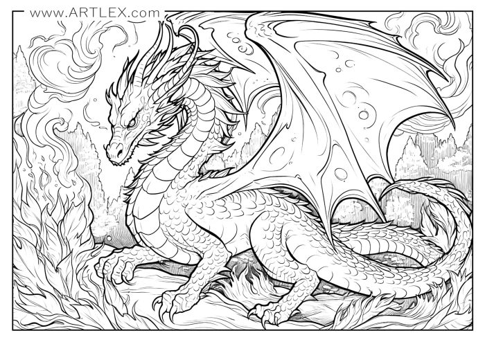 Dragon kids coloring page