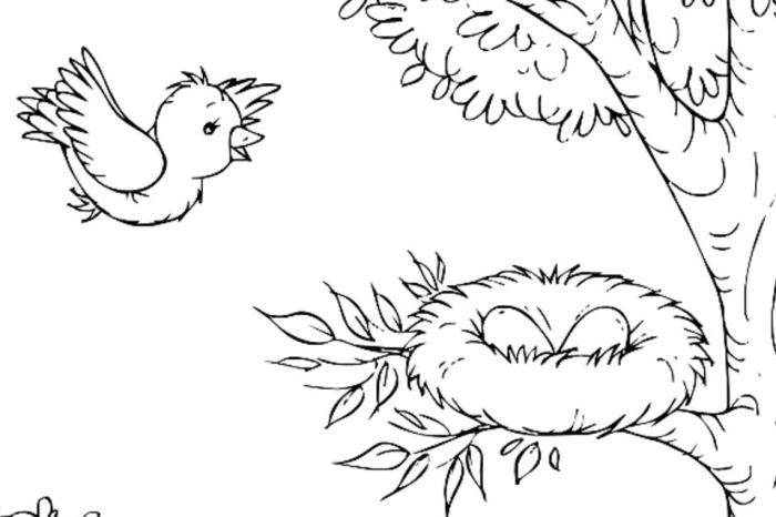 Bird Coloring Pages for Kids A Creative Exploration