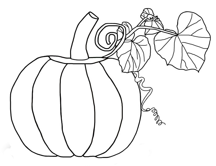 Free printable pumpkin coloring pages for kids