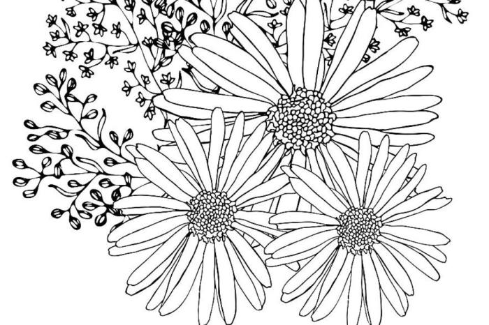 Free Floral Coloring Pages A Blooming Delight