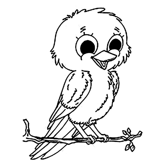 Bird coloring pages for kids