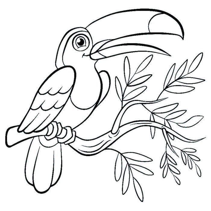 Bird coloring pages for kids